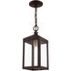 Nyack 1 Light 6 inch Bronze with Antique Brass Cluser Outdoor Pendant Lantern