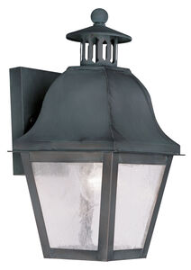 Amwell 1 Light 14 inch Charcoal Outdoor Wall Lantern