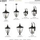 Adams 3 Light 10.63 inch Black with Brushed Nickel Finish Cluster Outdoor Large Wall Lantern Wall Light