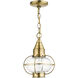 Newburyport 1 Light 9 inch Antique Brass Outdoor Pendant Lantern