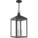 Nyack 3 Light 11 inch Scandinavian Gray Outdoor Pendant Lantern