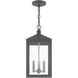 Nyack 3 Light 8.25 inch Scandinavian Gray Outdoor Pendant Lantern
