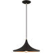 Allison 1 Light 14 inch Black Mini Pendant Ceiling Light