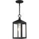 Nyack 1 Light 6 inch Black with Brushed Nickel Cluster Outdoor Pendant Lantern