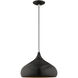 Allison 1 Light 14 inch Shiny Black Mini Pendant Ceiling Light