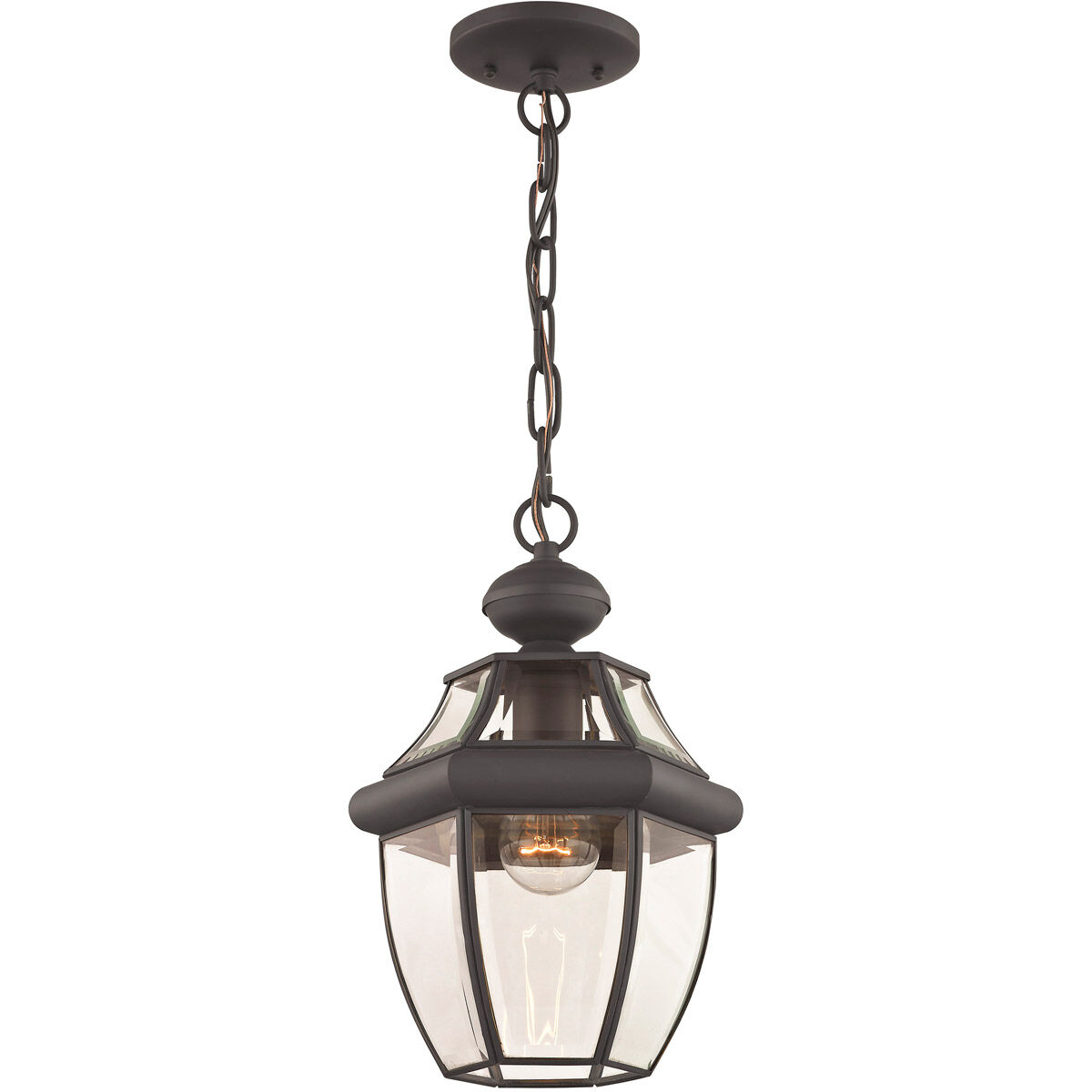 Monterey 1 Light 8.5 inch Bronze Outdoor Pendant Lantern
