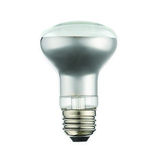 Allison 60 Light 2.50 inch Light Bulb