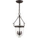 Jefferson 3 Light 10 inch Bronze Chain Lantern
