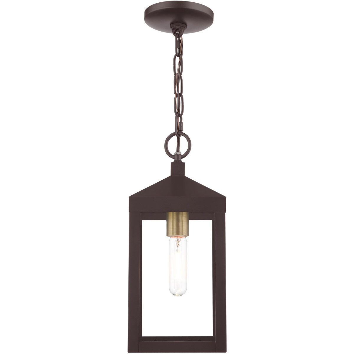Nyack 1 Light 6 inch Bronze with Antique Brass Cluser Outdoor Pendant Lantern