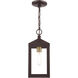 Nyack 1 Light 6 inch Bronze with Antique Brass Cluser Outdoor Pendant Lantern