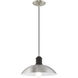 Allison 1 Light 13 inch Brushed Nickel Mini Pendant Ceiling Light