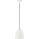 Arlington 1 Light 10 inch White with Brushed Nickel Accents Pendant Ceiling Light