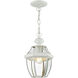 Monterey 1 Light 8.5 inch White Outdoor Pendant Lantern