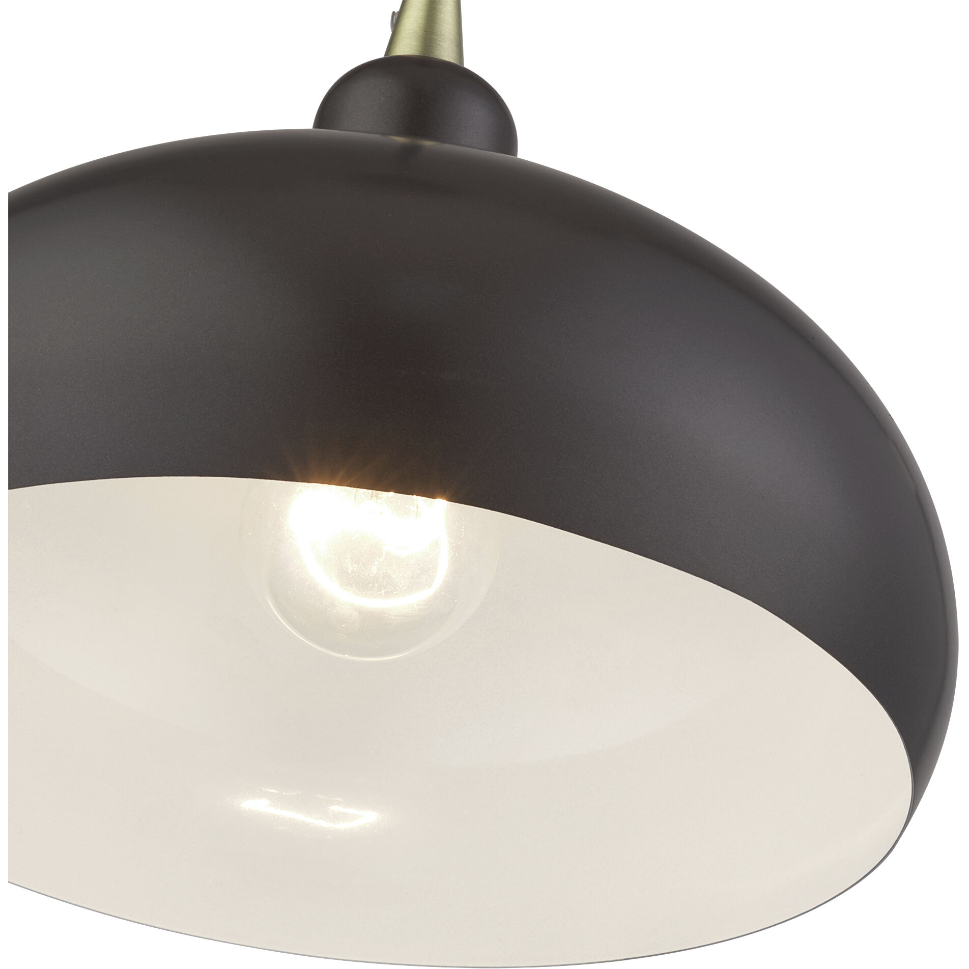 Domma 1 Light 10 inch English Bronze with Antique Brass Accents Pendant Ceiling Light