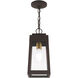 Oslo 1 Light 6 inch Bronze Outdoor Pendant Lantern