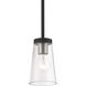 Cityview 1 Light 5 inch Black with Brushed Nickel Accents Mini Pendant Ceiling Light