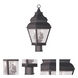 Exeter 2 Light 20.5 inch Bronze Outdoor Post Top Lantern