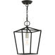 Devone 1 Light 10 inch Black Convertible Semi Flush/Lantern Ceiling Light