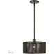 Acordia 1 Light 12.00 inch Pendant