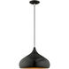 Allison 1 Light 14 inch Shiny Black Mini Pendant Ceiling Light