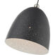 Arlington 1 Light 12 inch Scandinavian Gray with Brushed Nickel Accents Pendant Ceiling Light