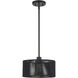 Acordia 1 Light 12 inch Black Pendant Ceiling Light