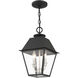 Mansfield 2 Light 9 inch Black Outdoor Pendant Lantern