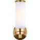 Jefferson 3 Light 12 inch Antique Brass Chain Lantern
