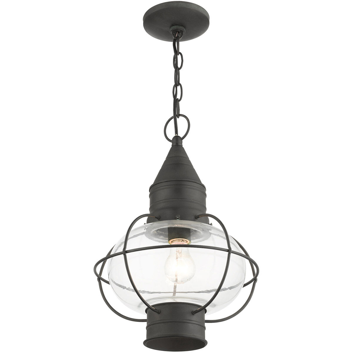 Newburyport 1 Light 11 inch Charcoal Outdoor Pendant Lantern