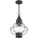 Newburyport 1 Light 11 inch Charcoal Outdoor Pendant Lantern