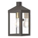 Nyack 1 Light 10.5 inch Bronze with Antique Brass Finish Cluster and Polished Chrome Stainless Steel Reflector Mini Outdoor Wall Lantern