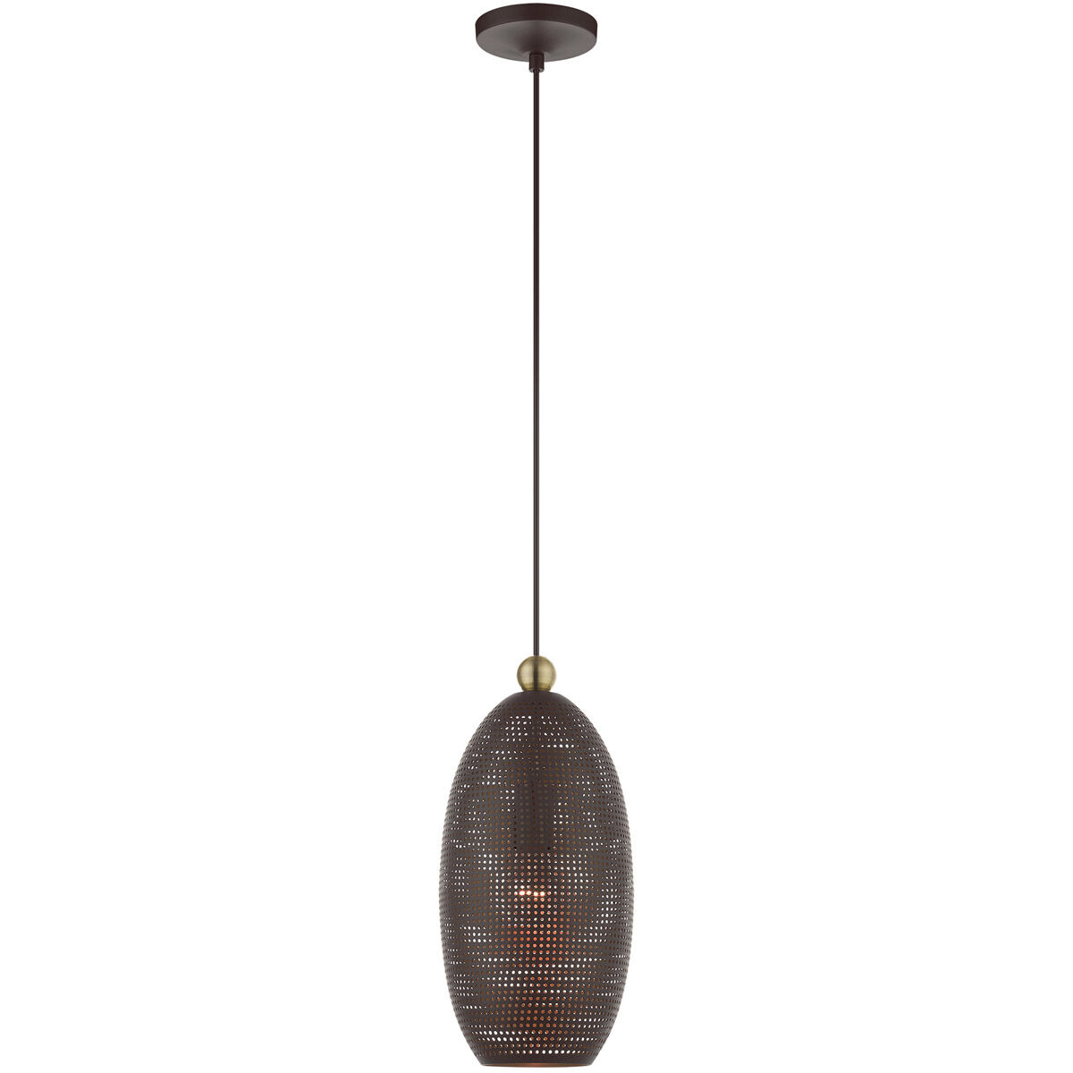 Dublin 1 Light 7 inch Bronze with Antique Brass Accents Pendant Ceiling Light