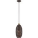 Dublin 1 Light 7 inch Bronze with Antique Brass Accents Pendant Ceiling Light