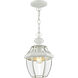 Monterey 1 Light 8.5 inch White Outdoor Pendant Lantern