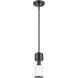 Quincy 1 Light 4.75 inch Black Chrome Mini Pendant Ceiling Light