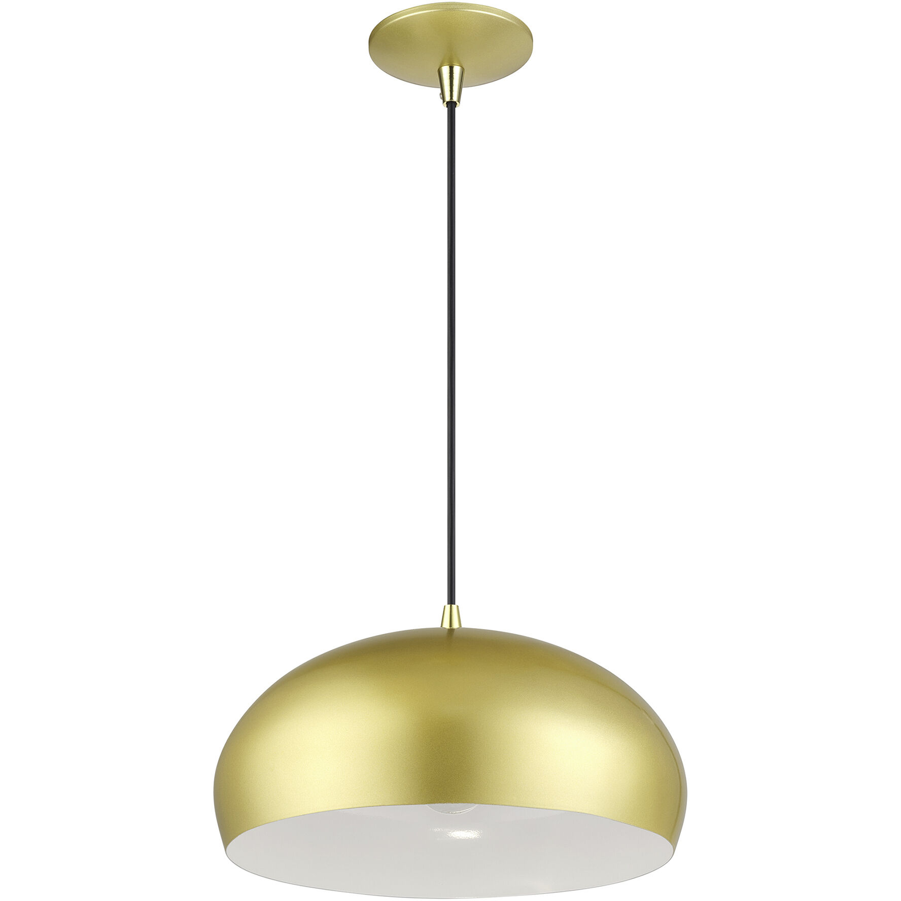 Domma 1 Light 14 inch Soft Gold with Polished Brass Accents Pendant Ceiling Light