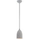 Arlington 1 Light 6 inch Nordic Gray with Brushed Nickel Accents Pendant Ceiling Light