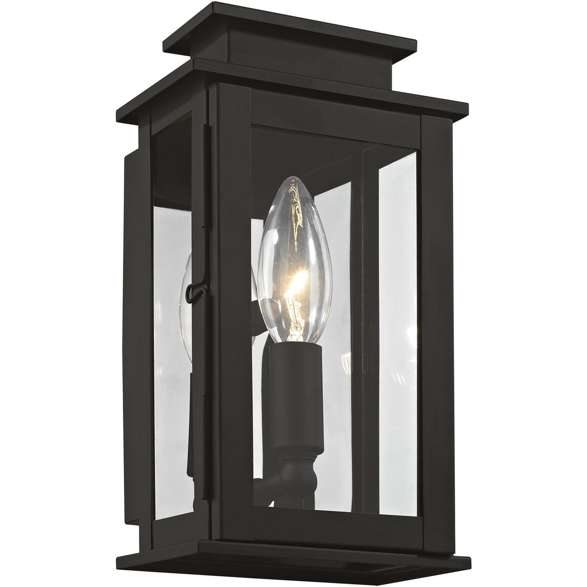 Princeton 1 Light 9 inch Black Outdoor Wall Lantern