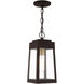 Oslo 1 Light 6 inch Bronze Outdoor Pendant Lantern