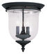 Legacy 3 Light 12 inch Black Flush Mount Ceiling Light