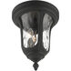 Oxford 2 Light 11 inch Textured Black Outdoor Ceiling Mount