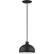 Domma 1 Light 8 inch Black with Brushed Nickel Accents Mini Pendant Ceiling Light