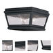 Exeter 2 Light 8 inch Black Outdoor Ceiling Mount