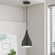 Amador 1 Light 6.25 inch Textured Black with Antique Brass Accents Mini Pendant Ceiling Light