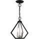 Prism 2 Light 11 inch Black with Brushed Nickel Cluster Convertible Semi Flush/Pendant Ceiling Light