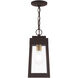 Oslo 1 Light 6 inch Bronze Outdoor Pendant Lantern