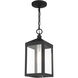 Nyack 1 Light 6 inch Black with Brushed Nickel Cluster Outdoor Pendant Lantern