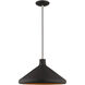 Allison 1 Light 15 inch Black Mini Pendant Ceiling Light