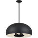 Domma 4 Light 22.5 inch Black Pendant Ceiling Light