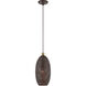 Dublin 1 Light 7 inch Bronze with Antique Brass Accents Pendant Ceiling Light